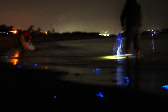 富山県を語ろう