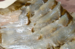 富山県を語ろう