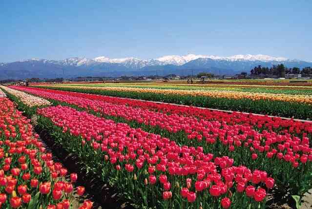 富山県を語ろう