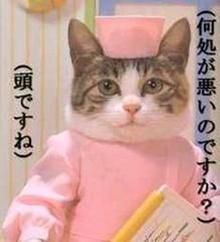 ゲス乙女・川谷絵音 どアップ写真にファン「すごく綺麗な目」