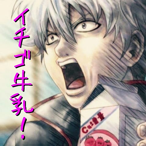「銀魂‼︎」好きな人