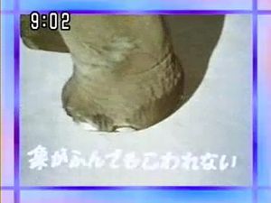 一行で懐かしいと思わせるトピ