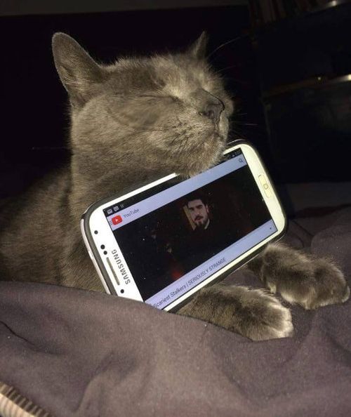 スマホで速度制限かかったことがある人
