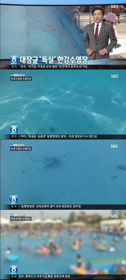 韓国で1500人死傷の加湿器殺菌剤事件、企業が謝罪し補償約束「家の中のセウォル号事件」