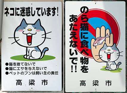 真夜中にダジャレを言って素早く立ち去るトピ