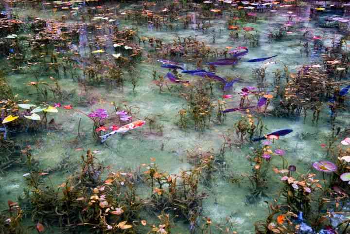 死ぬまでに一度は見たいものありますか？