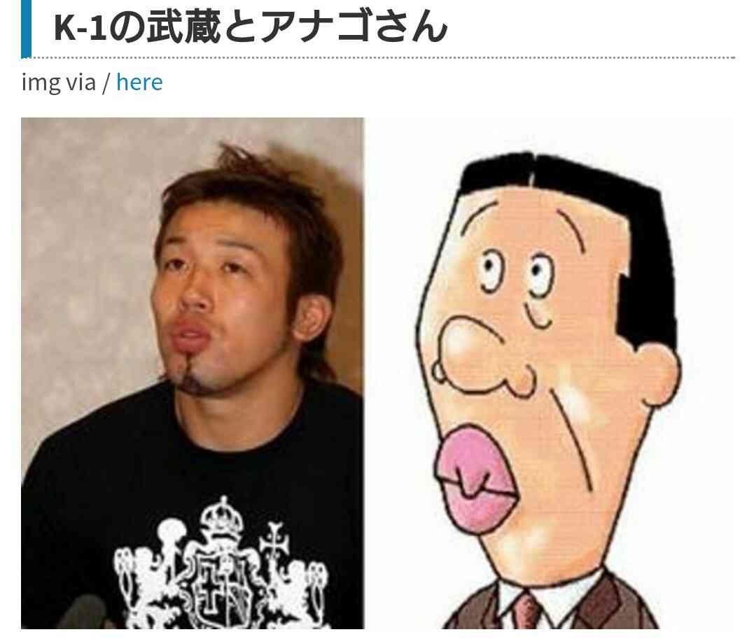 芸能人・有名人に似た動物