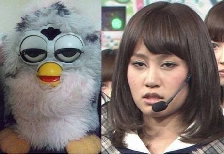 芸能人・有名人に似た動物