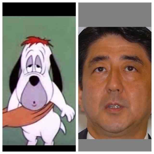 芸能人・有名人に似た動物