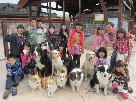 犬、猫の鬱病について。