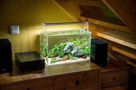 イケメンのお部屋にありそうな物