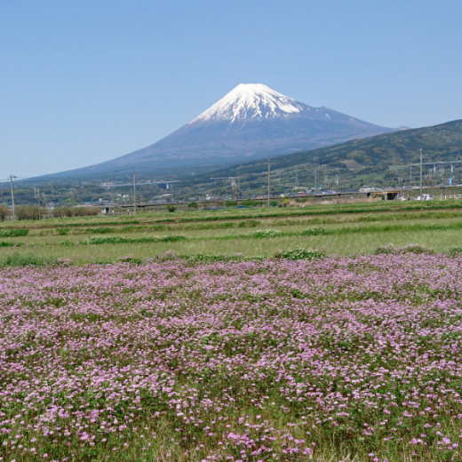 山梨県民集まれ～！！