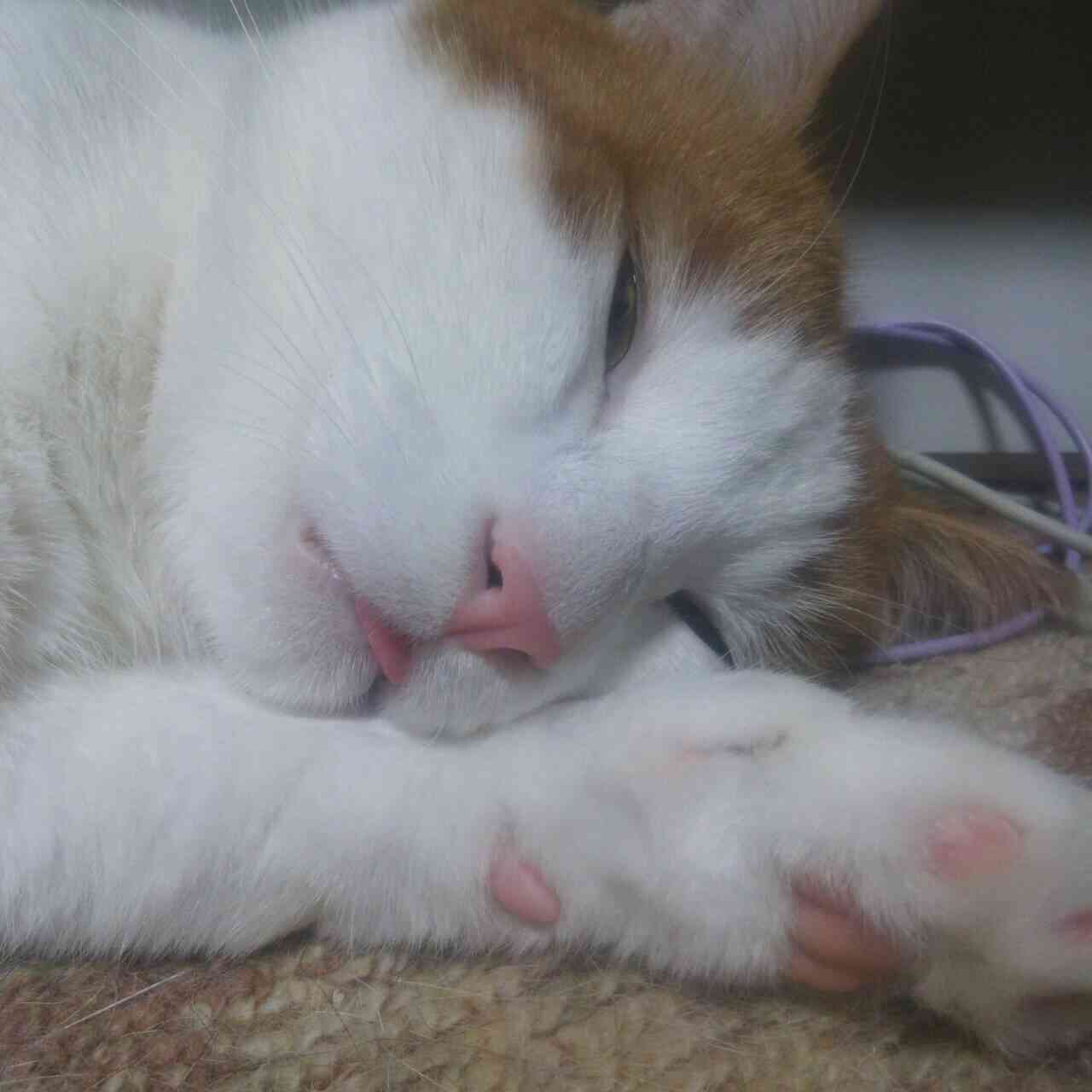 メルカリあるある ガールズちゃんねる Girls Channel