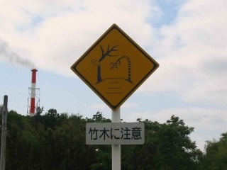 レアだと思う画像を貼るトピ