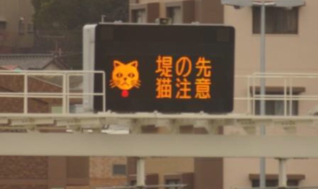 レアだと思う画像を貼るトピ