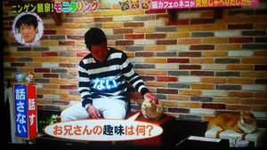 TBS系「モニタリング」の制作会社が7100万円脱税！東京国税局が告発