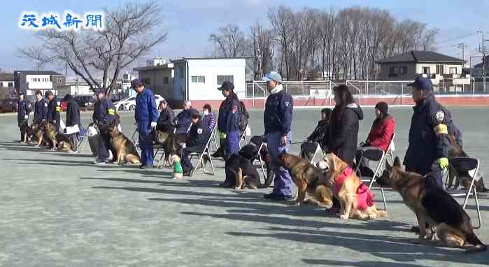 盲導犬「汚れる」と乗車拒否…運輸局、タクシー会社処分 
