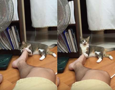 足が臭い人集合！