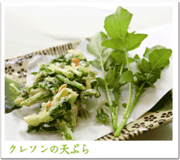 春料理といえば？