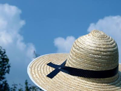 日本の夏を感じさせる画像
