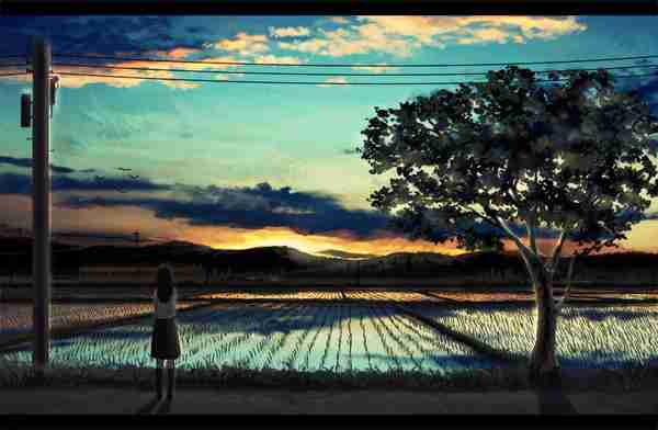 日本の夏を感じさせる画像