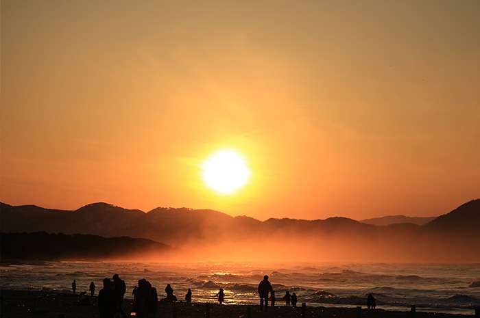 日本の夏を感じさせる画像
