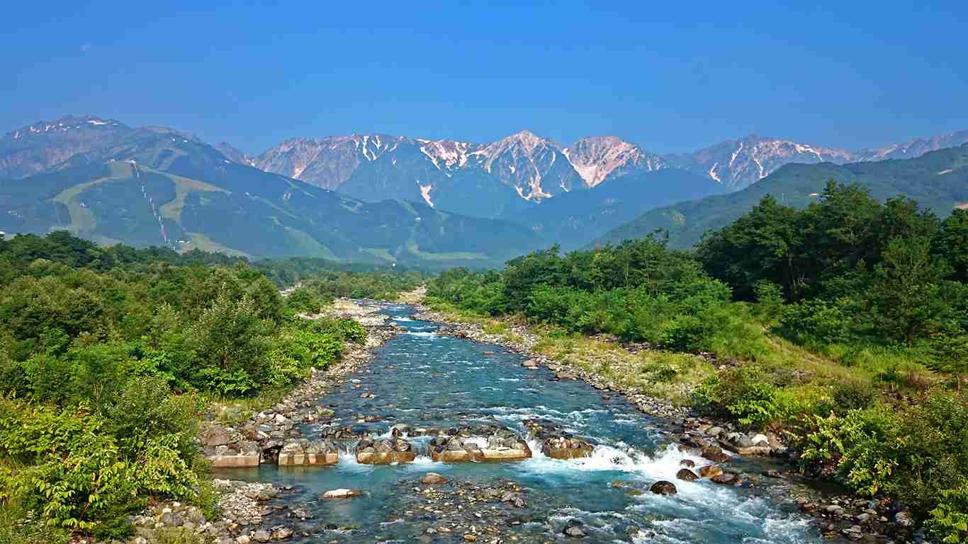日本の夏を感じさせる画像