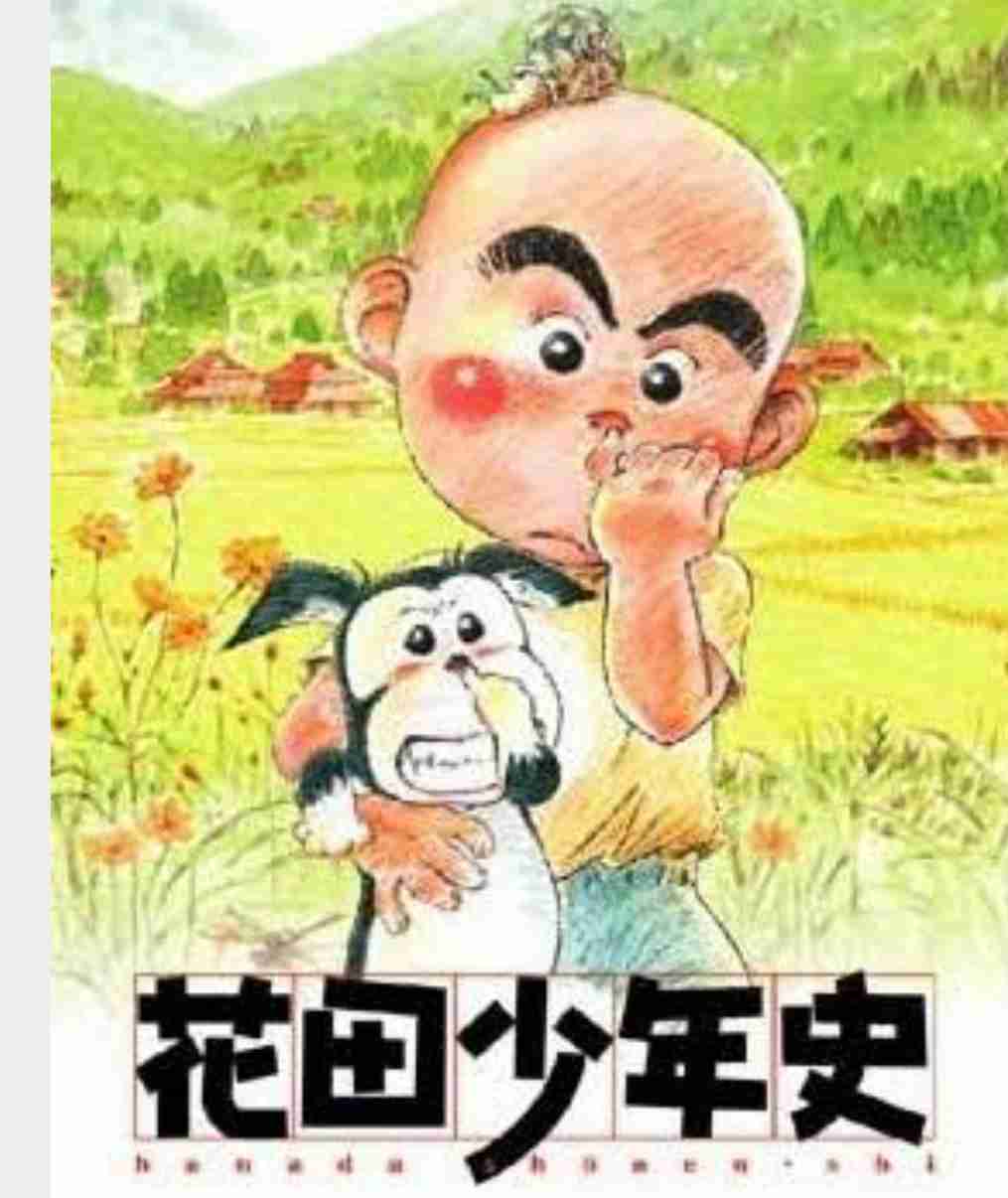 日本の夏を感じさせる画像