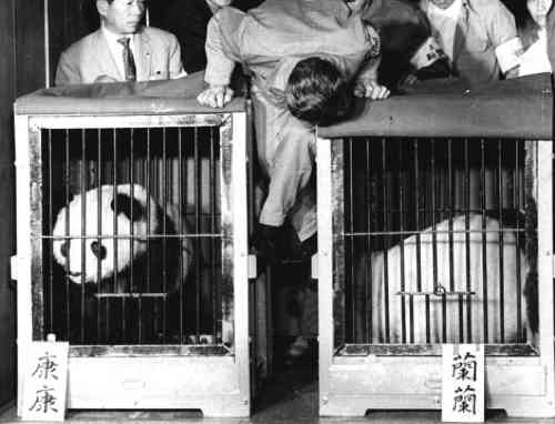 歴史を感じる画像を貼るトピ