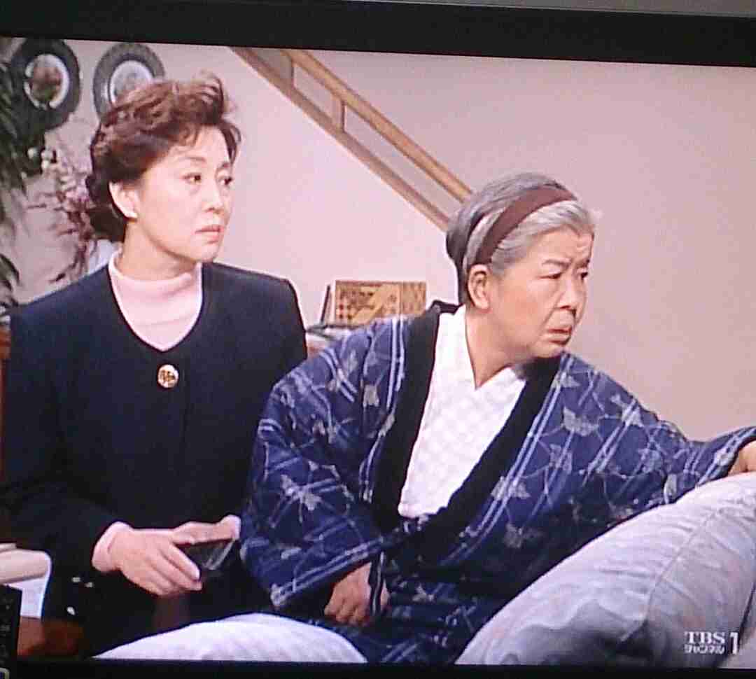 「渡る世間は鬼ばかり」を見てた人