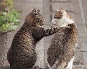 励ましてほしい人集合!