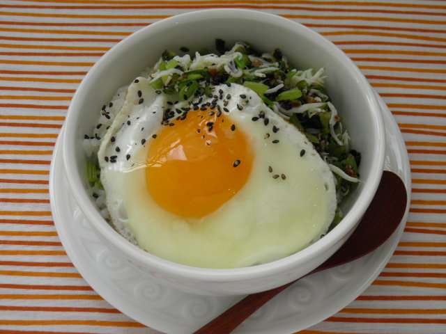 今日のお昼ごはん何ですか？