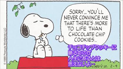 チョコチップが好きな人！