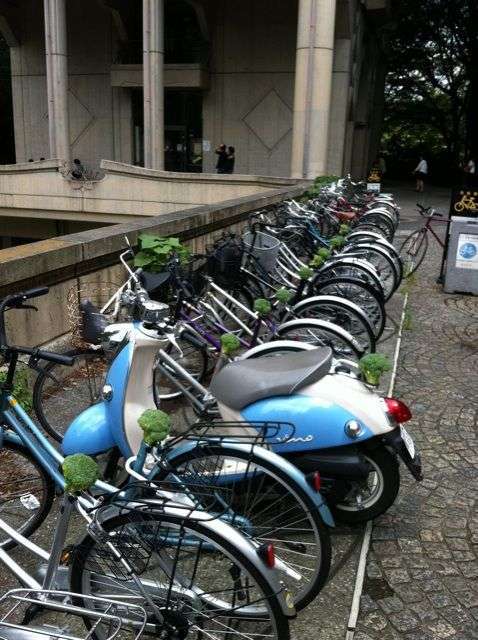 自転車あるある