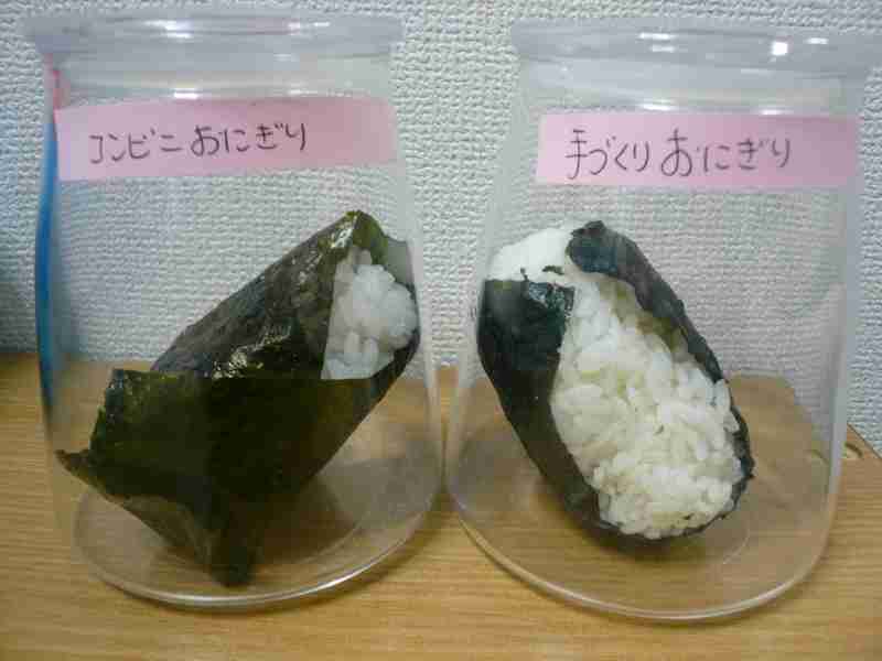 独身男の10人中1人「彼女が握るおにぎりに抵抗感」