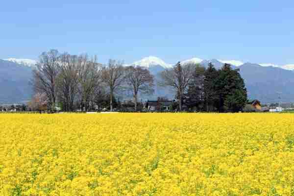 長野県のオススメ