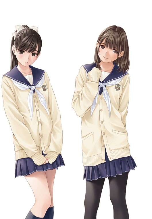 二次元キャラ、どっち派？＋－
