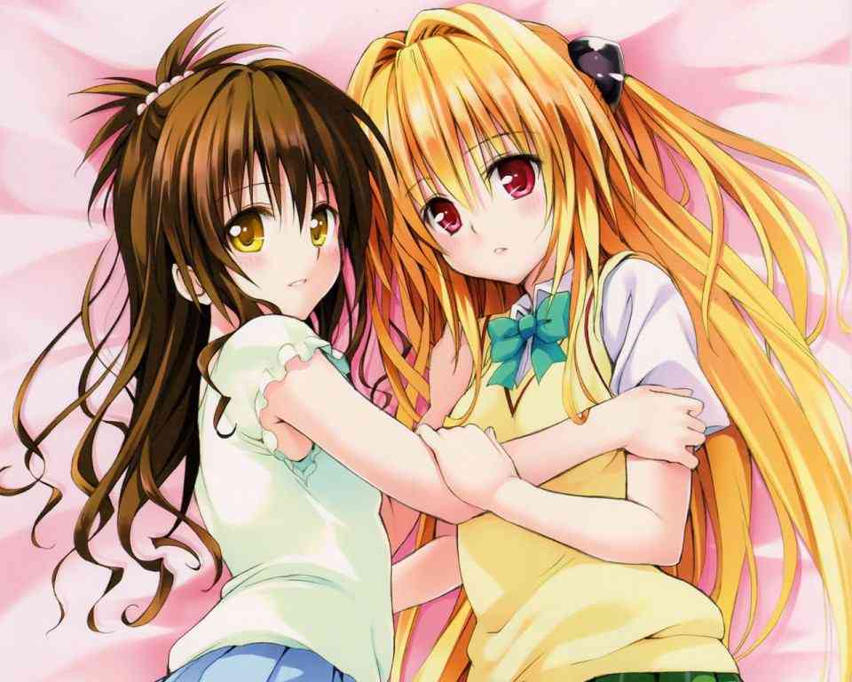 二次元キャラ、どっち派？＋－