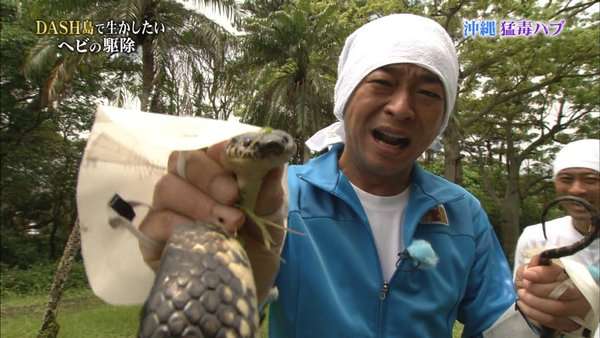 【妄想】ジャニーズ メンバーだけで肝試ししたら？