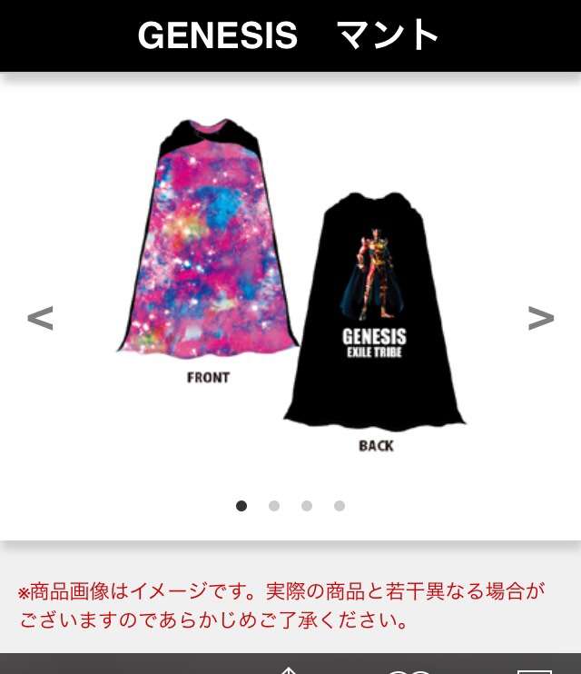 変てこなコンサートグッズ
