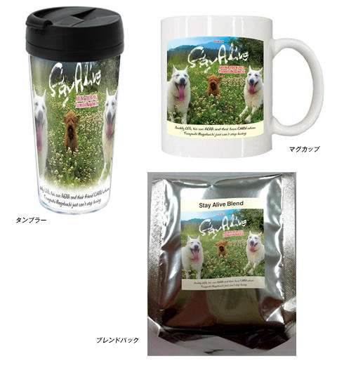 変てこなコンサートグッズ