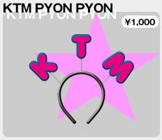 変てこなコンサートグッズ
