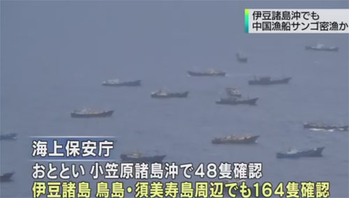 プーチン大統領をどう思いますか？