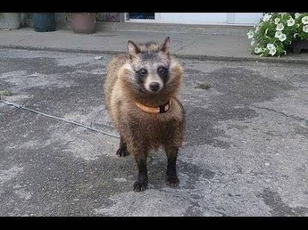 失くしものあるある