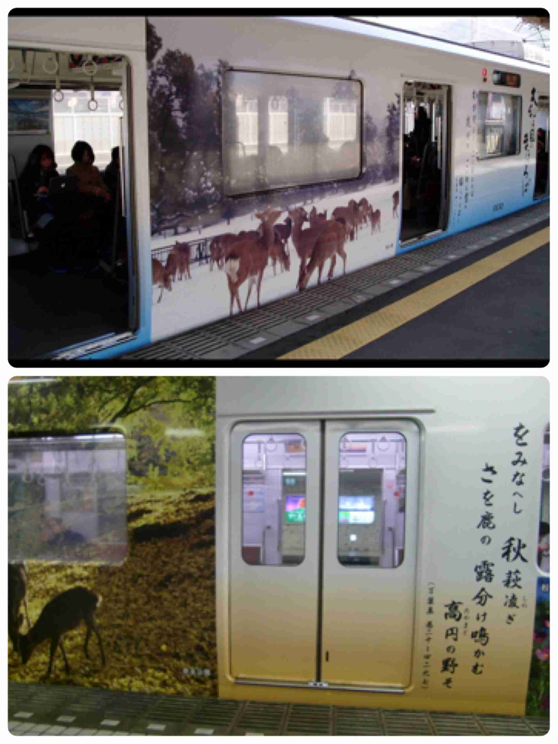 ラッピング電車をみんなで見よう