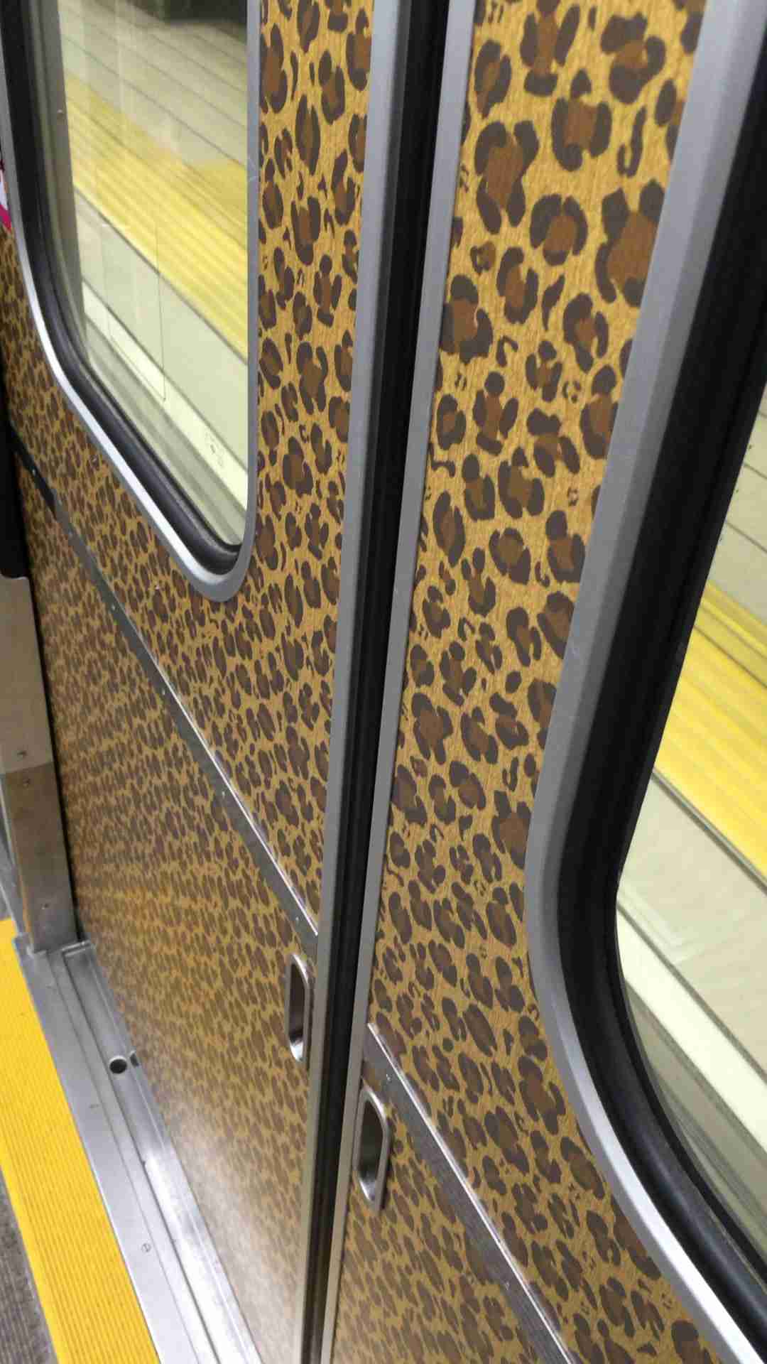 ラッピング電車をみんなで見よう