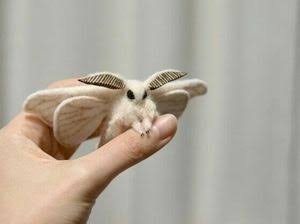【閲覧注意】もし虫の世界にガルちゃんがあったら立ちそうなトピ
