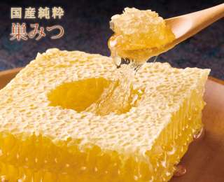 【閲覧注意】もし虫の世界にガルちゃんがあったら立ちそうなトピ