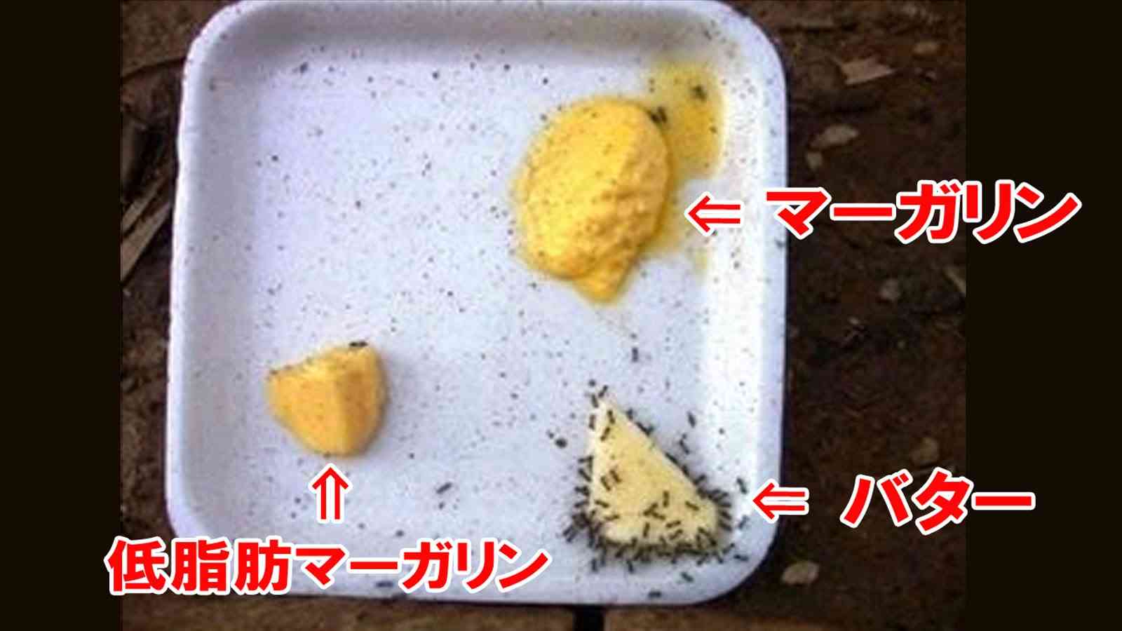 マーガリン使ってますか?