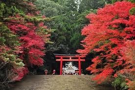 ご利益がある神社